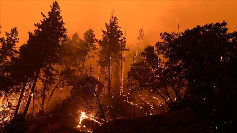 Meteoroloji kırmızı kodla uyardı: O bölgelerde orman yangınlarına dikkat!